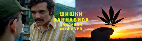 шишки Приозерск