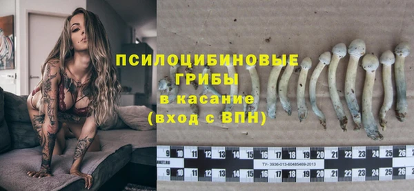 стаф Алексеевка